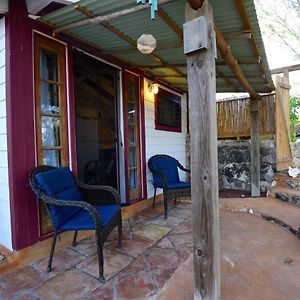 Studio Garden View